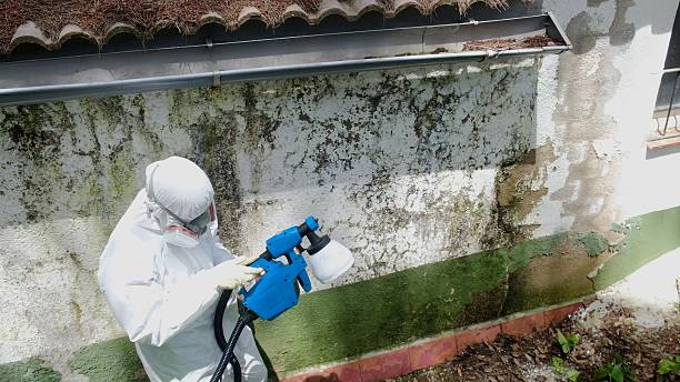 Top rated local Mold Testing specialists in Abbottstown, PA